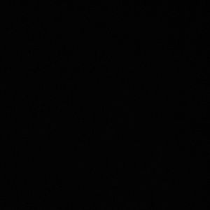 Meet your Posher, Riley